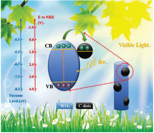 WO3/carbon dots composites 