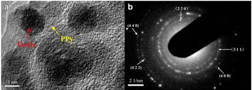 polypyrrole modified Fe3O4 nanoparticle 