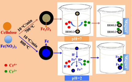 core-shell structure magnetic carbon nanoparticle 