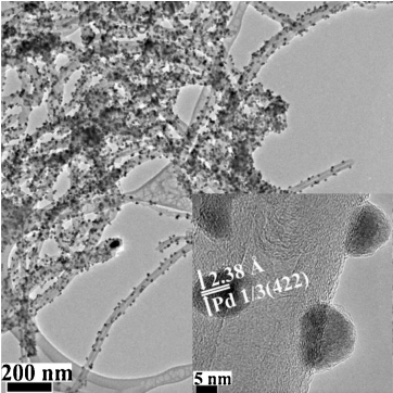 Pd/carbon nanotube 