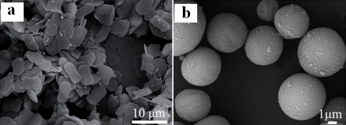 Polyaniline nanoparticle