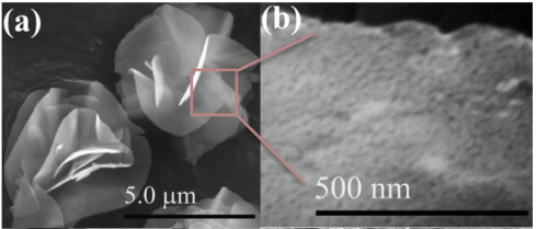 Flower liked Magnetic Co3O4 nanoparticle