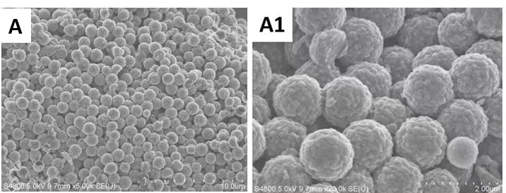 Polyaniline coated silicon carbide 