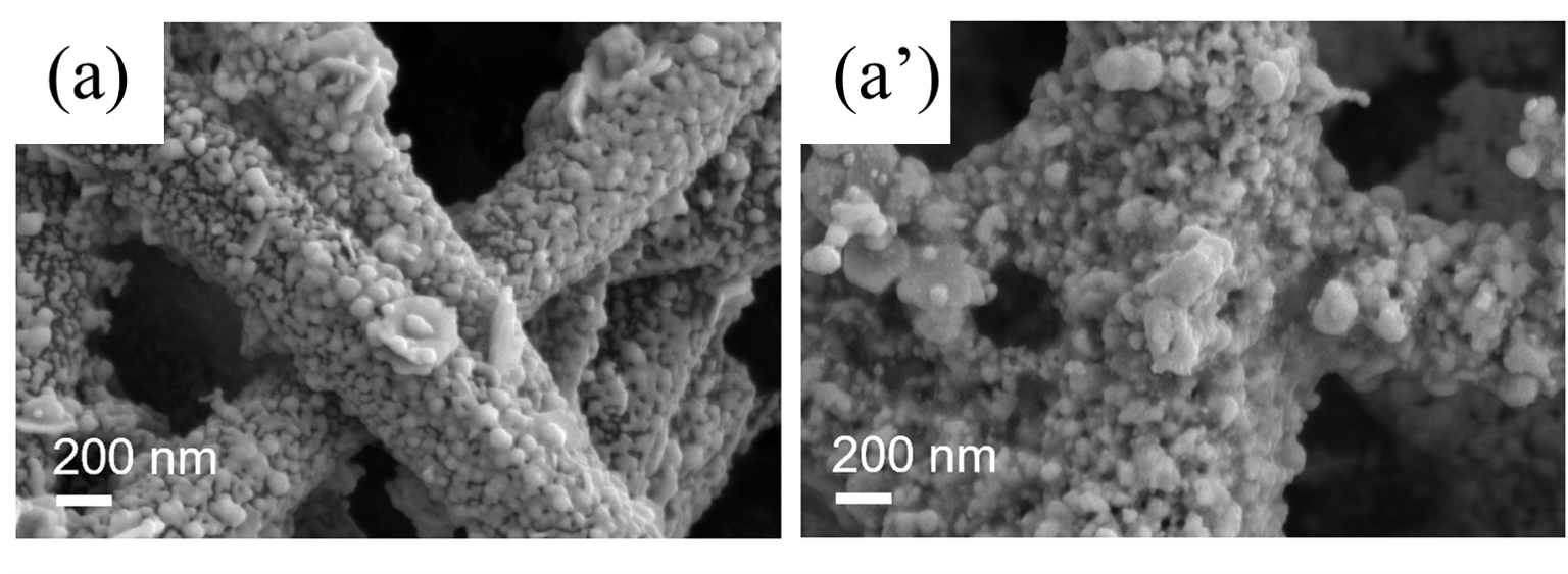 Silver particles coated polyimide nanowires