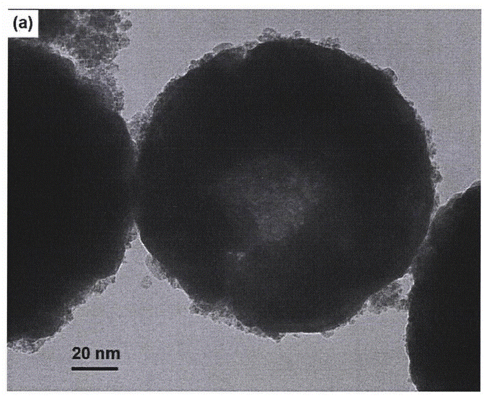 Polyaniline coated ferric oxide particles